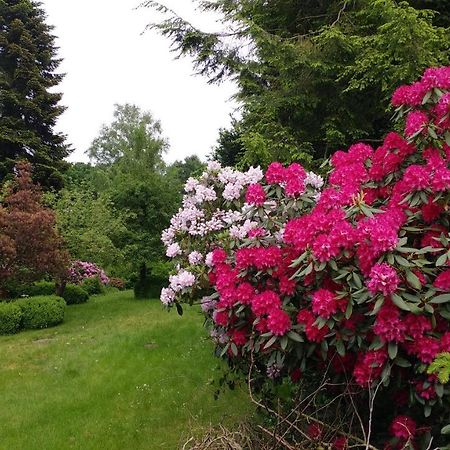 Ferienwohnung Gartenblick วอร์ปสวีเดอ ภายนอก รูปภาพ