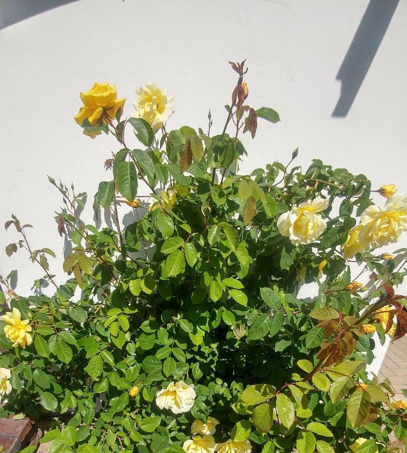 Ferienwohnung Gartenblick วอร์ปสวีเดอ ภายนอก รูปภาพ