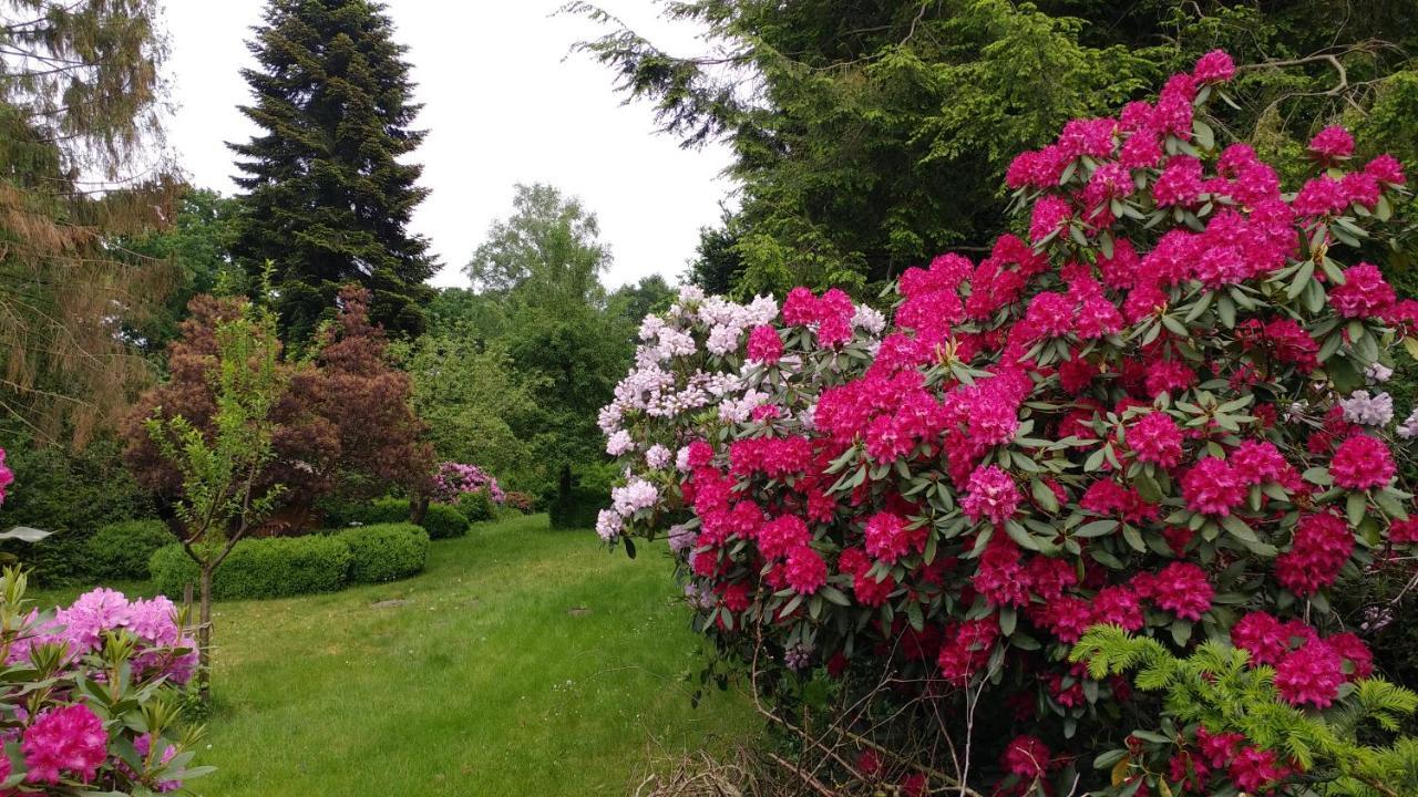 Ferienwohnung Gartenblick วอร์ปสวีเดอ ภายนอก รูปภาพ